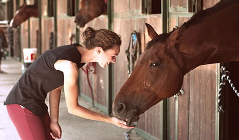 ragazza nutre cavallo al maneggio colleverde country house a corciano