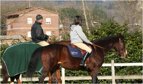 uomini a cavallo nel maneggio colleverde country house a corciano